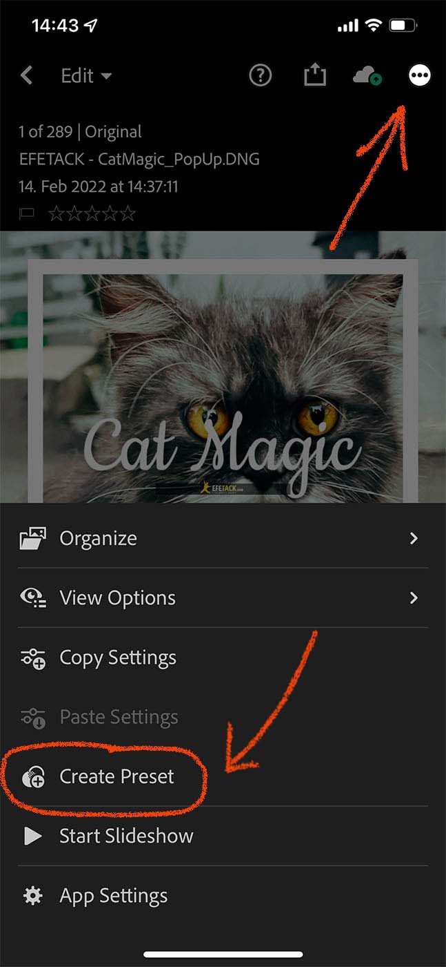 How to save Preset in Lightroom Mobile
